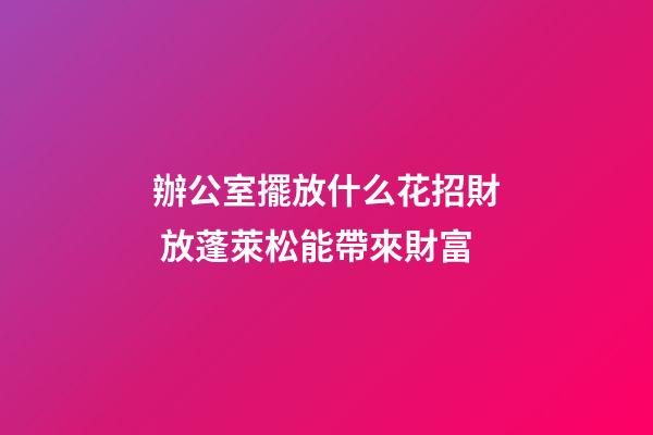 辦公室擺放什么花招財 放蓬萊松能帶來財富